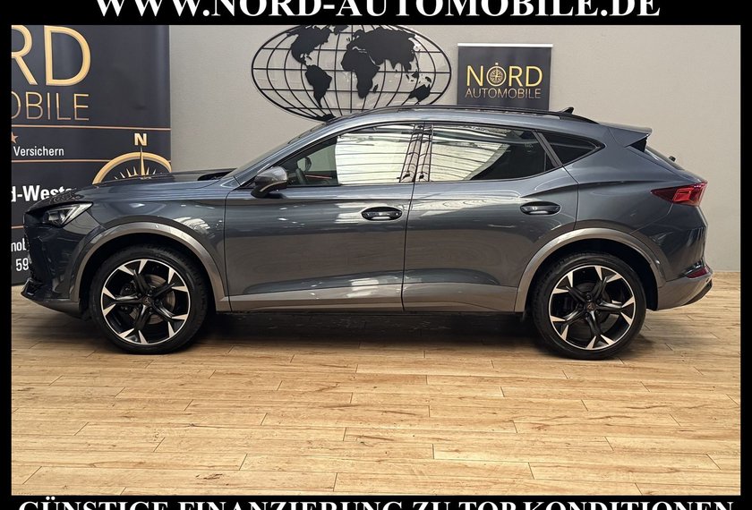 Cupra Formentor Formentor 2.0 TDI DSG AHK/Beats/19/StHz/Navi/
