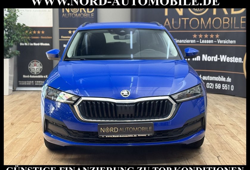 Skoda Octavia Octavia Combi Ambition 2.0 TDI DSG AHK/Kamera/