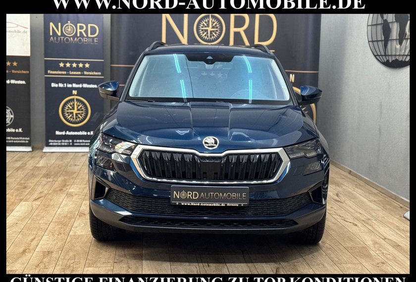 Skoda Karoq Karoq Style 2.0 TDI DSG Matrix/Kamera/18/