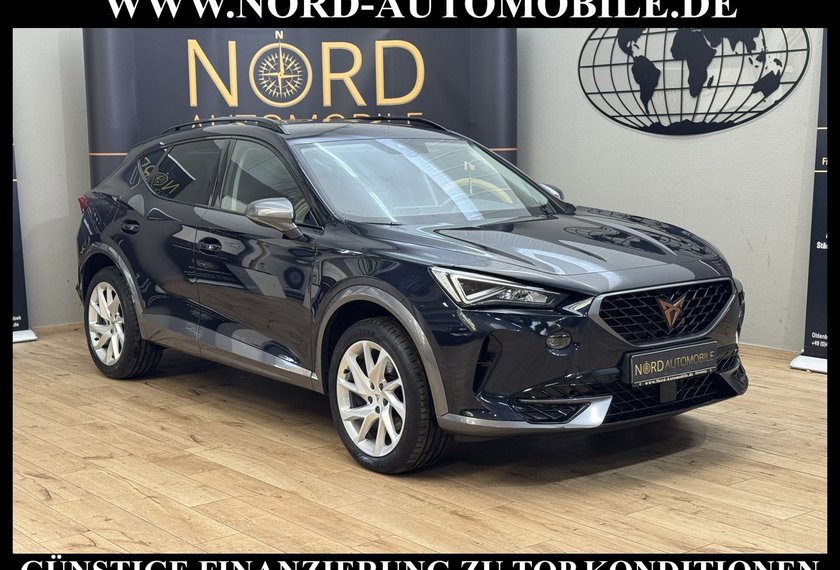 Cupra Formentor Formentor 2.0 TDI Navi/LED/Kamera/Leder/18