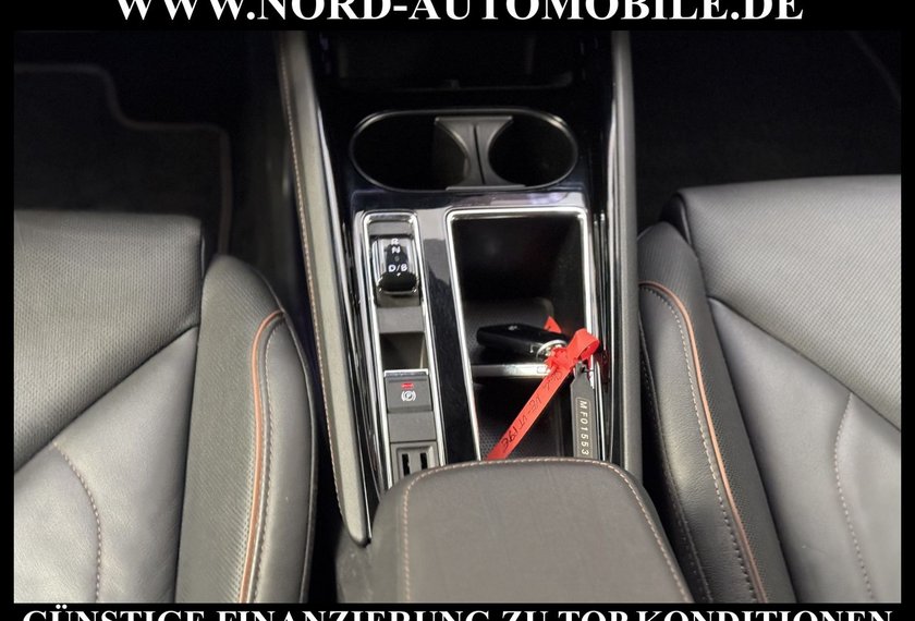 Skoda Enyaq Enyaq iV 80 Suite Leder/Kamera/Side&amp;Lane/20