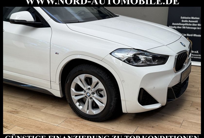 BMW X2 X2 xDrive20d M Sport *LED*AHK*Kamera*Panorama*