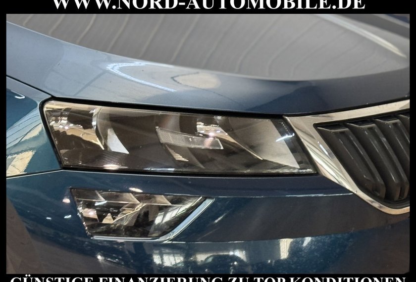 Skoda Karoq Karoq Ambition 2.0 TDI DSG Navi/PDC/SHZ/17