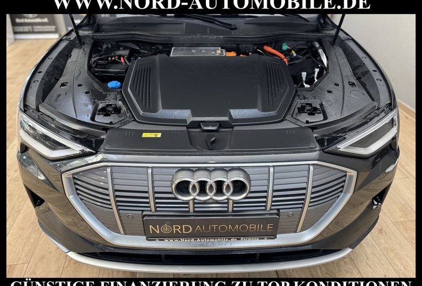 Audi e-tron e-tron advanced QU.Matrix/AHK/Kamera/Side&amp;Lane