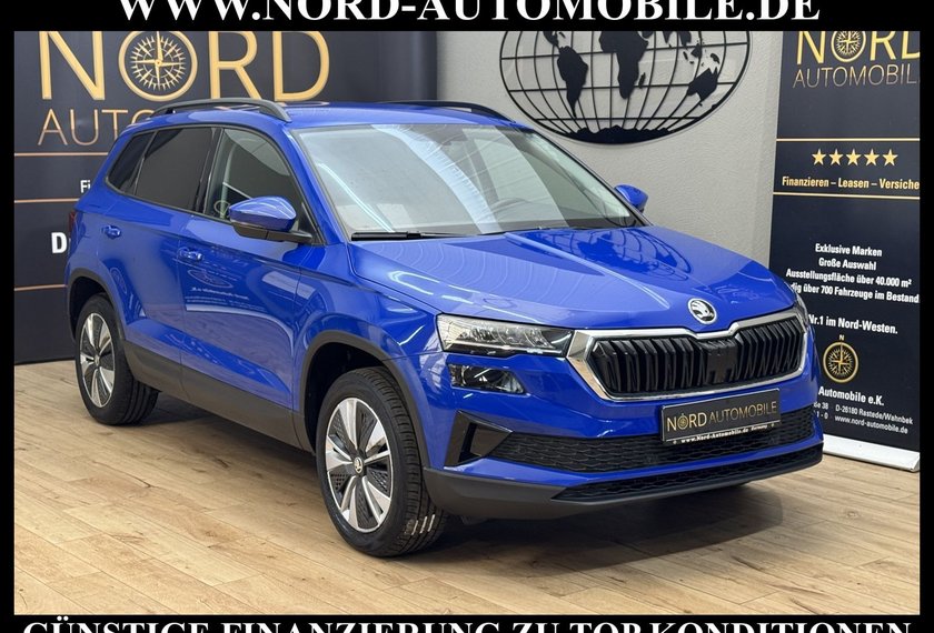 Skoda Karoq Karoq Ambition 2.0 TDI DSG Virt.Cockpit/Kamera