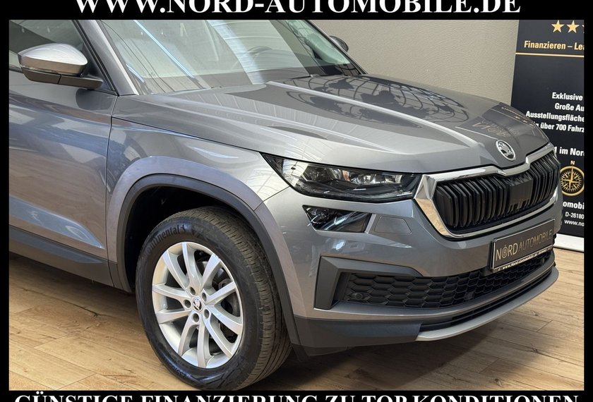 Skoda Kodiaq Kodiaq Ambition 2.0 TDI DSG Virt.Cockpit/AHK/LED