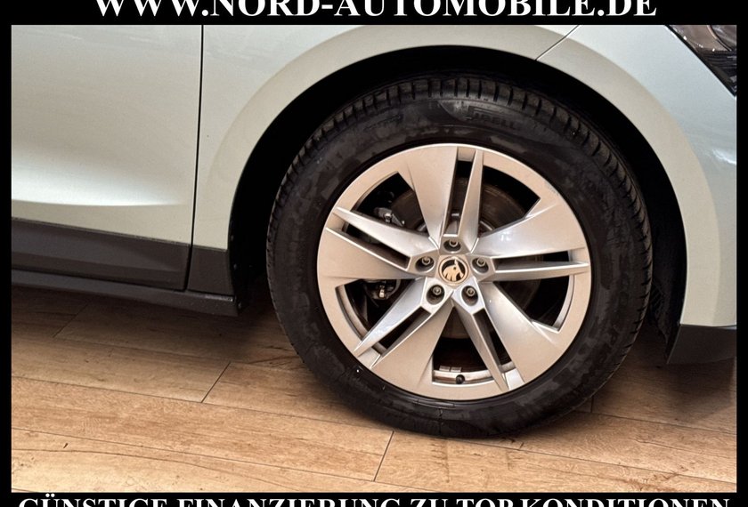 Skoda Enyaq Enyaq iV 60 Loft Teilleder/Kamera/Navi/LED/19