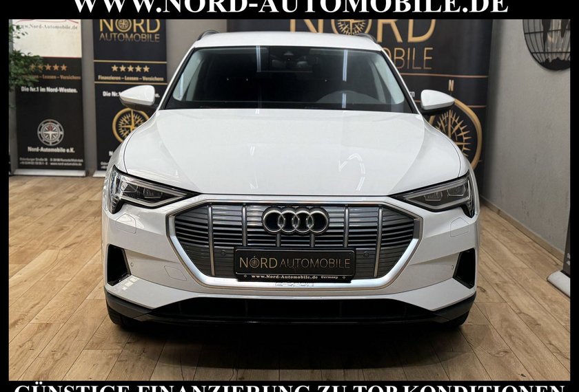 Audi e-tron e-tron 55 QU.Teilleder/Navi/LED/Side&amp;Lane/20