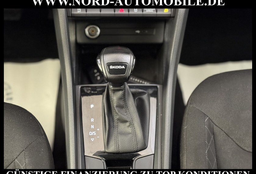 Skoda Kodiaq Kodiaq Active 2.0 TDI DSG LED/AHK/SHZ