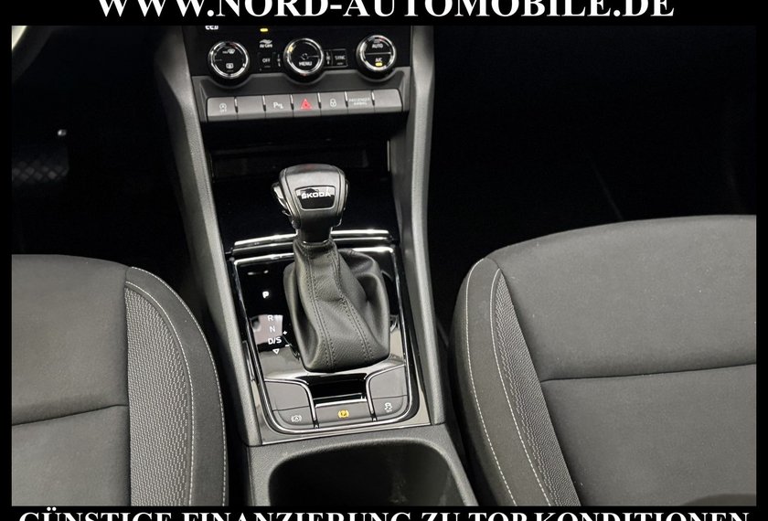 Skoda Karoq Karoq Ambition 2.0 TDI DSG Virt.Cockpit/Kamera/