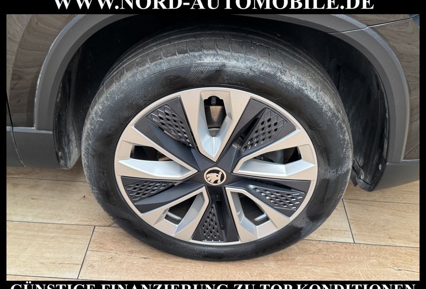 Skoda Karoq Karoq Style 2.0 TDI DSG Virt.Cockpit/Kamera/18