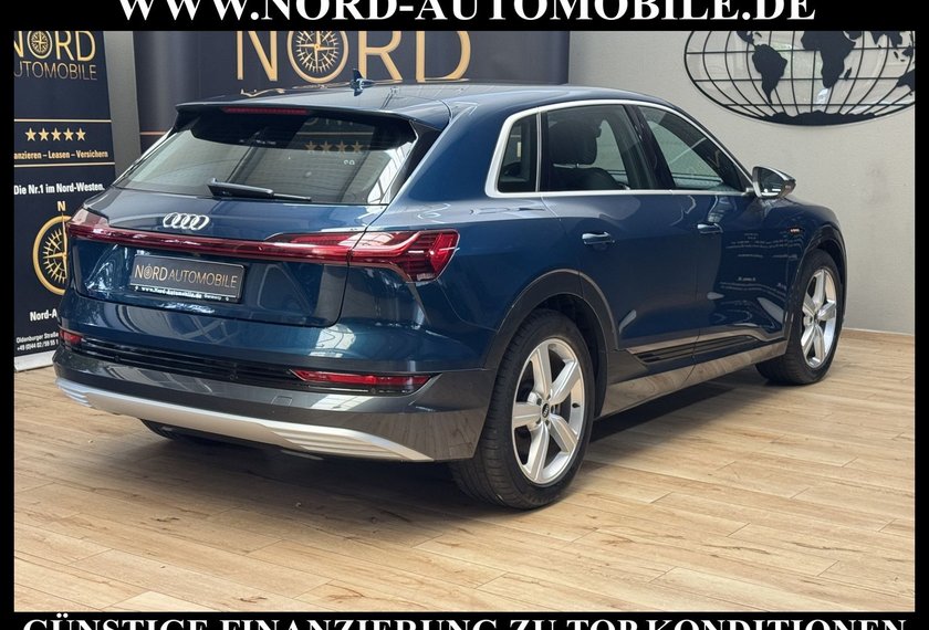 Audi e-tron e-tron 50 QU.S-Line Teilleder/Kamera/Head-Up/20