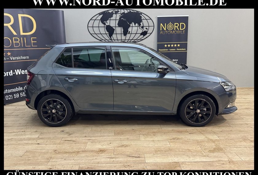 Skoda Fabia Fabia Monte Carlo 1.0 TSI LED/Pano/PDC/SHZ