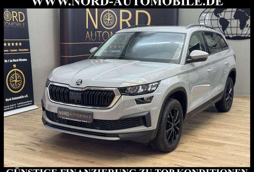 Skoda Kodiaq Kodiaq Ambition 2.0 TDI DSG Kamera/LED/17