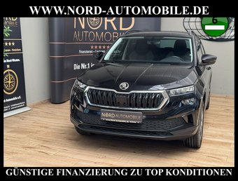Skoda Karoq Karoq Style 2.0 TDI DSG Virt.Cockpit/Kamera/18