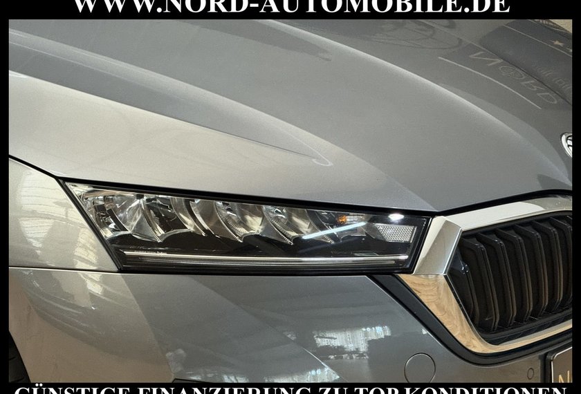 Skoda Octavia Octavia Combi Ambition 2.0 TDI DSG Navi/LED/PDC