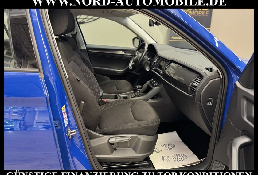 Skoda Kodiaq Kodiaq Active 2.0 TDI DSG LED/AHK/SHZ