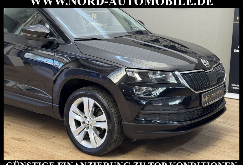 Skoda Karoq Karoq Style 2.0 TDI DSG Kamera/Navi/ACC/18