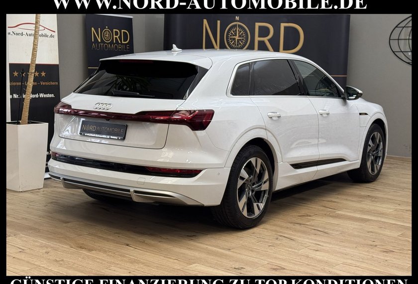 Audi e-tron e-tron 50 QU.S-Line SIDE&amp;LANE/Kamera/LED/20/