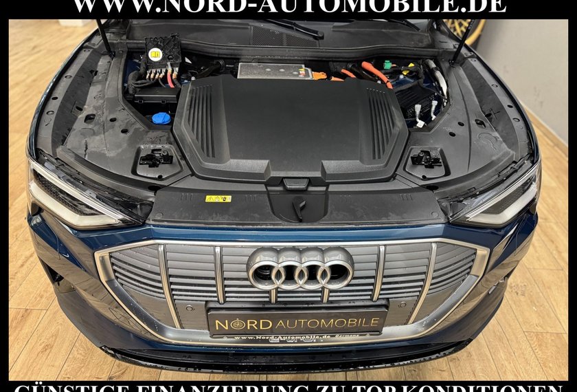 Audi e-tron e-tron qu. Automatik Teilleder/Kamera/20