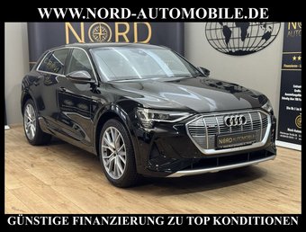 Audi e-tron e-tron 50 QU.S-Line B&amp;O/21/Navi/Teilleder/LED