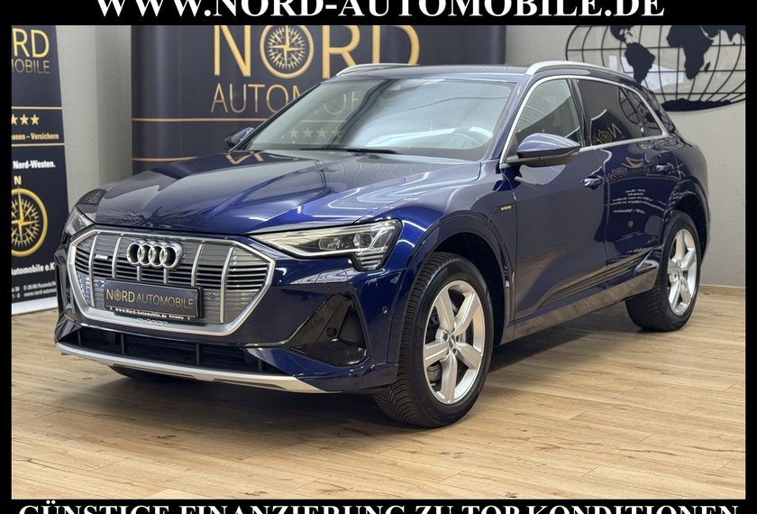 Audi e-tron e-tron 55 QU.S-Line Head-Up/Matrix/Side&amp;Lane/20