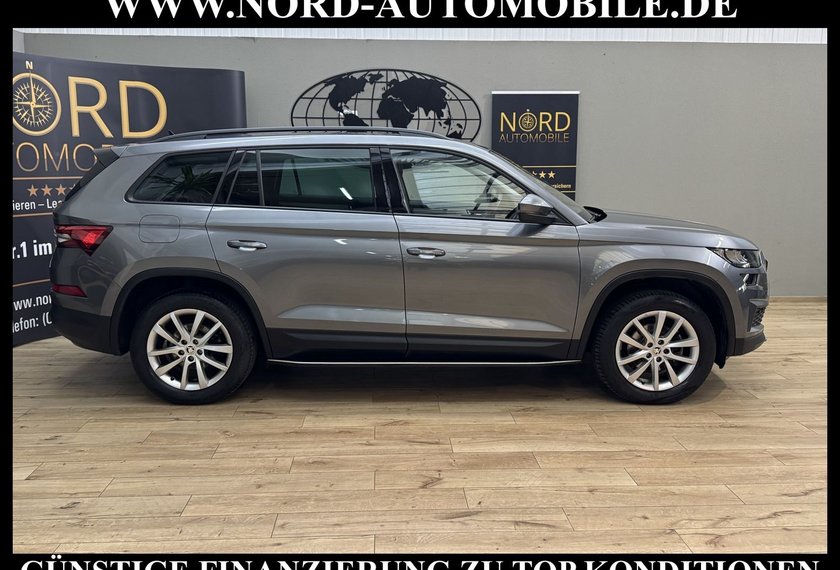 Skoda Kodiaq Kodiaq Ambition 2.0 TDI DSG Leder/AHK/Trittbrett
