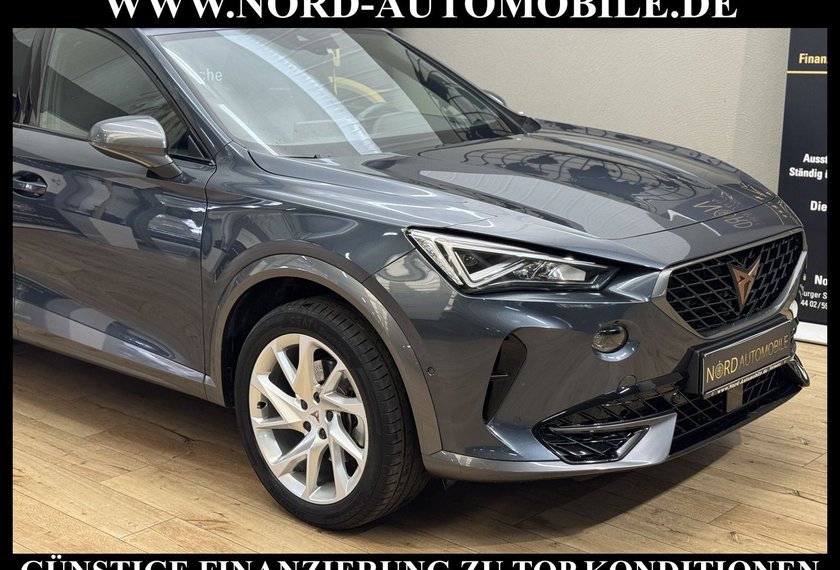 Cupra Formentor Formentor 1.4 TSI e-HYBRID DSG Kamera/AHK/18