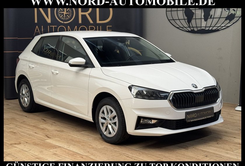 Skoda Fabia Fabia Ambition 1.0 TSI LED/Klima/PDC/15
