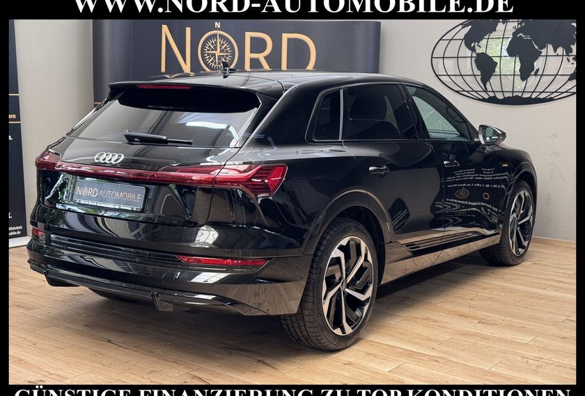 Audi e-tron e-tron 50 QU.S-Line Matrix/Kamera/21/