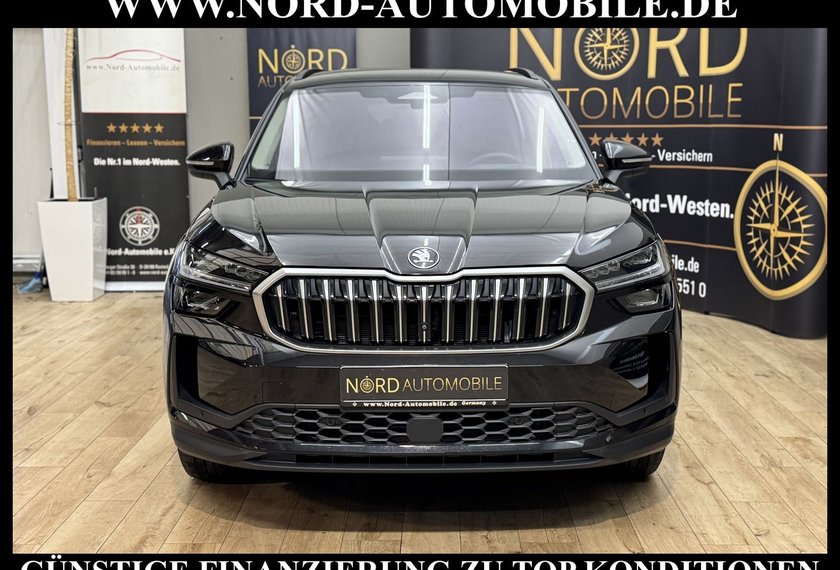 Skoda Kodiaq Kodiaq Selection 2.0 TDI DSG Leder/AHK/StHz/18