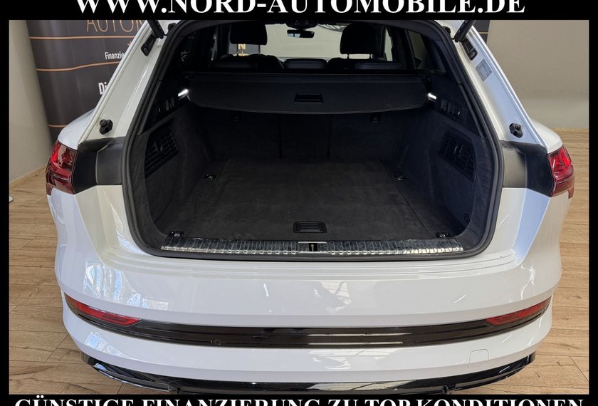Audi e-tron e-tron 50 QU.S-Line Teilleder/Kamera/LED/Navi/20