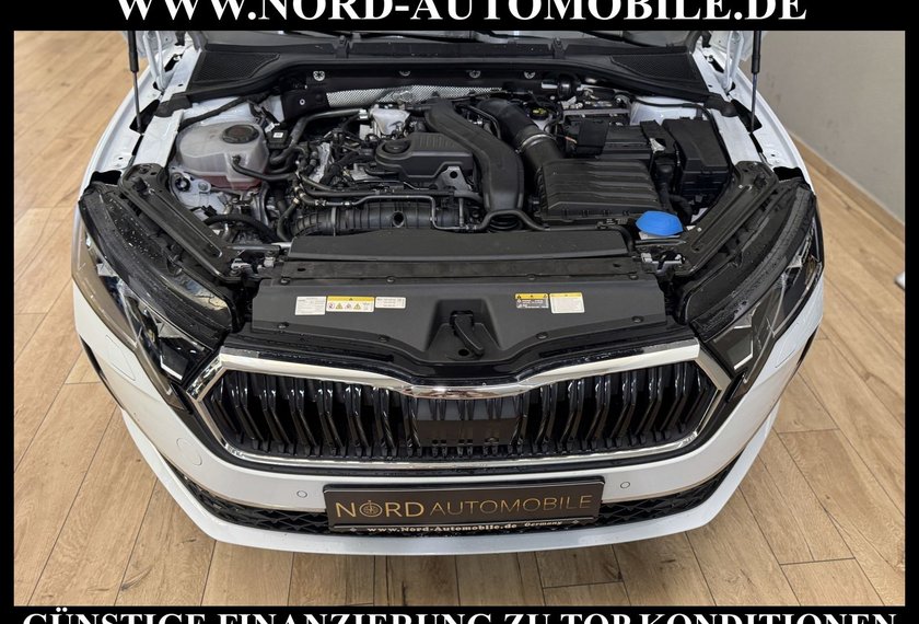 Skoda Octavia Octavia Combi eTSI DSG SELECTION LODGE*STHZ*AHK*