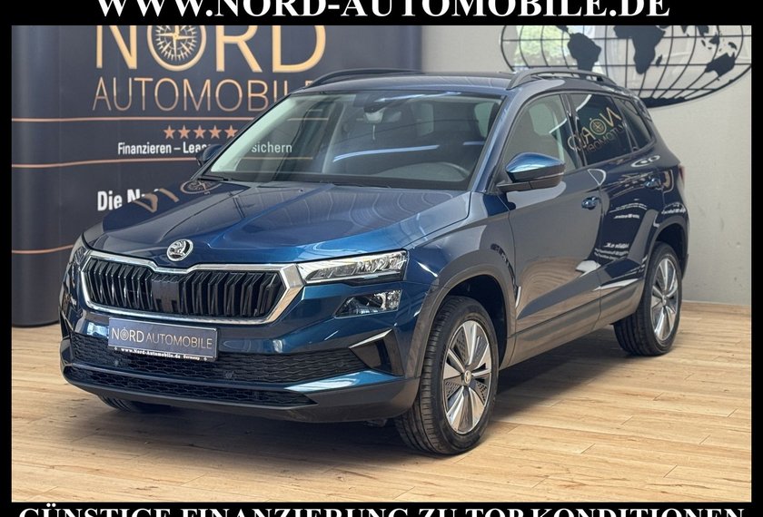 Skoda Karoq Karoq Business 2.0 TDI DSG Virt.Cockpit/Kamera/