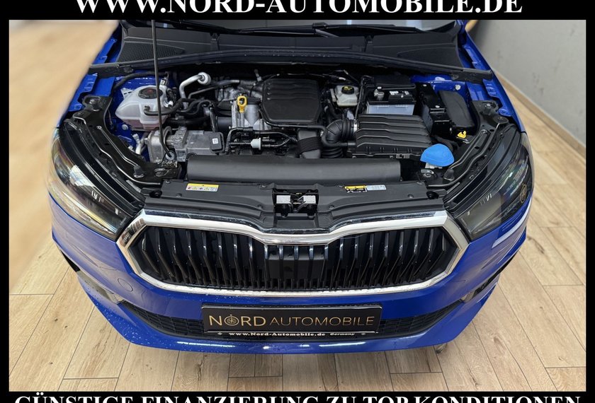 Skoda Fabia Fabia Active 1.0 MPI LED/Spurhalte/Klima/PDC