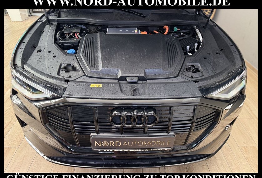 Audi e-tron e-tron 50 QU.Advanced S-Line Matrix/Kamera/21/