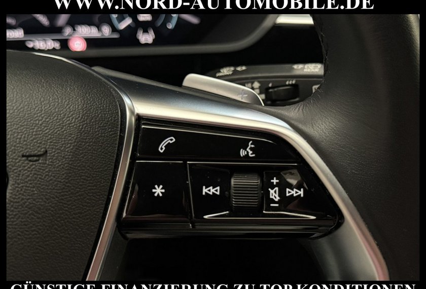 Audi e-tron e-tron 55 QU.Teilleder/Navi/LED/Side&amp;Lane/20