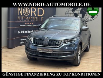 Skoda Kodiaq Kodiaq 2.0 TSI DSG Area View/Navi/LED/19/