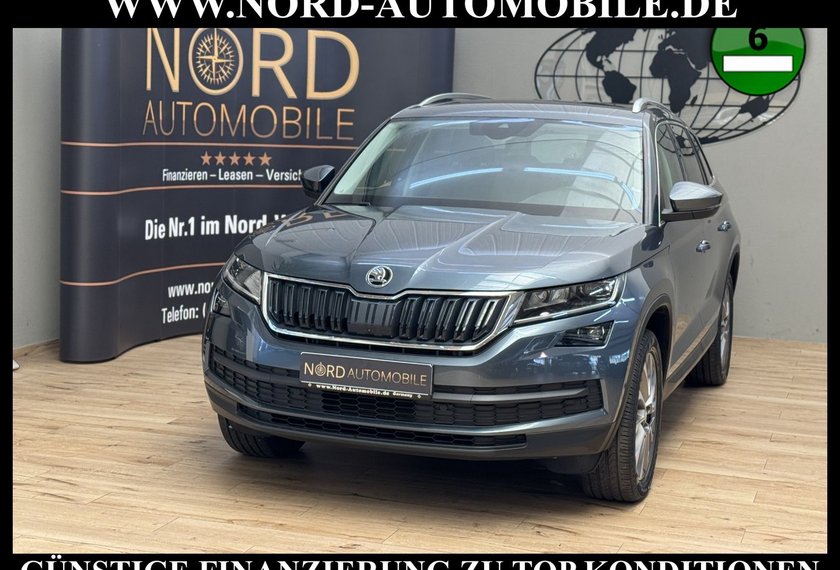 Skoda Kodiaq Kodiaq 2.0 TSI DSG Area View/Navi/LED/19/