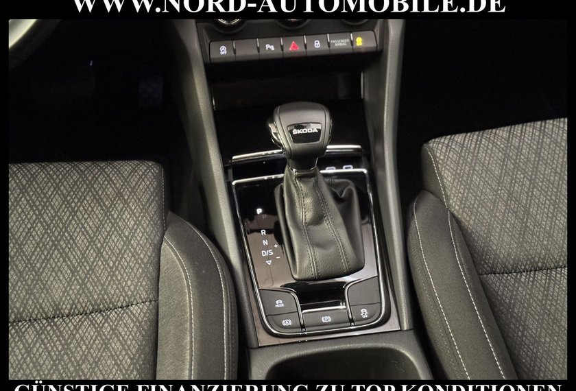 Skoda Karoq Karoq Style 2.0 TDI DSG AHK/StHz/Kamera/Virt.Coc