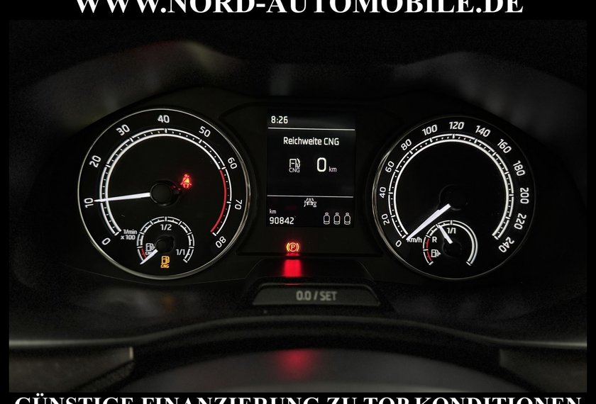 Skoda Kamiq Kamiq Style 1.0 TGI G-TEC SIDE&LANE/Kamera/17