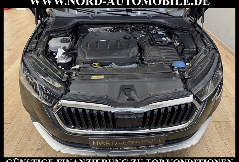 Skoda Octavia Octavia Combi 2.0 TDI DSG 4x4 Scout ACC/Navi/18