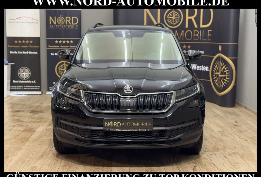 Skoda Kodiaq Kodiaq Ambition 2.0 TDI DSG Virt.Cockpit/Navi/19