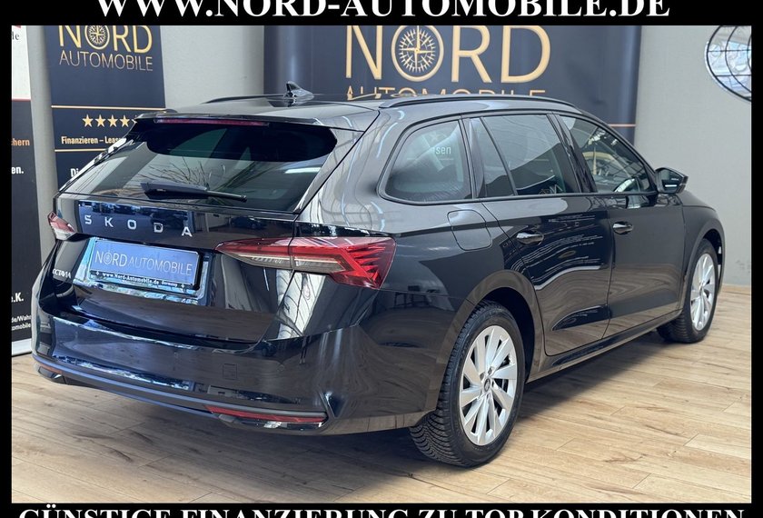 Skoda Octavia Octavia Combi TDI DSG SELECTION LODGE *360*AHK*