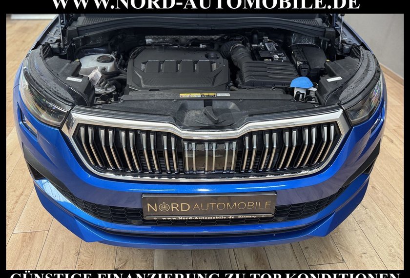 Skoda Kodiaq Kodiaq L&amp;K 2.0 TDI DSG Side&amp;Lane/Kamera/Leder