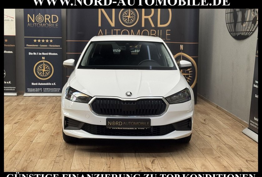 Skoda Fabia Fabia Ambition 1.0 TSI Navi/LED/SHZ