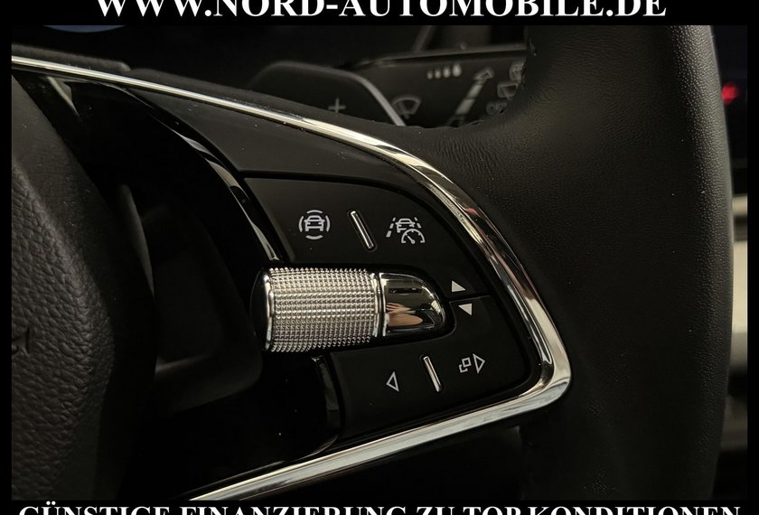 Skoda Octavia Octavia Combi Ambition 2.0 TDI DSG Navi/ACC/17