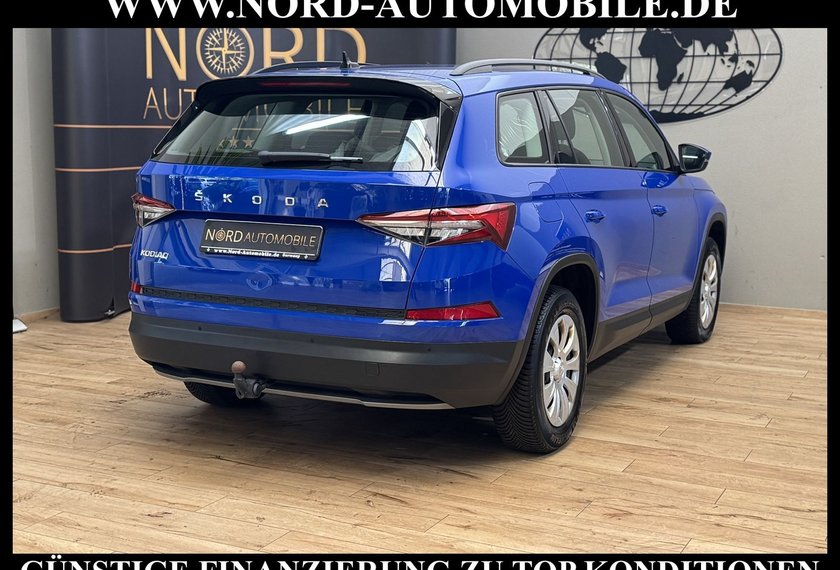 Skoda Kodiaq Kodiaq Active 2.0 TDI DSG LED/AHK/SHZ