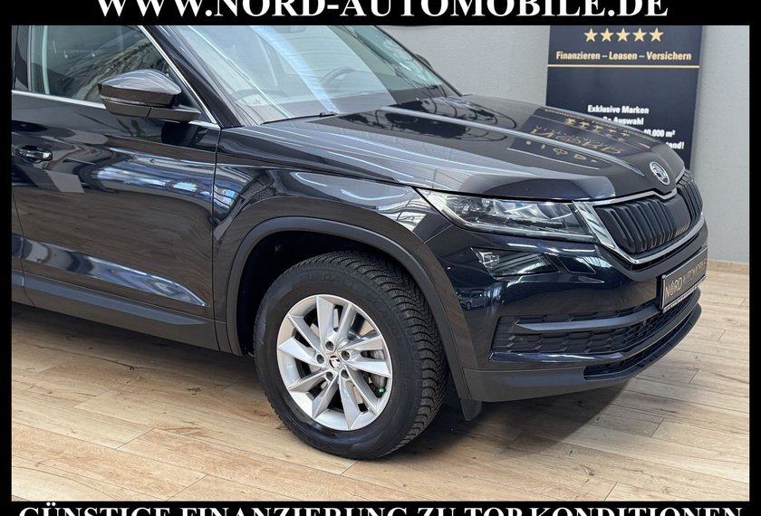 Skoda Kodiaq Kodiaq 2.0 TSI DSG Ambition 4x4 *LEDER*AHK*STHZ*