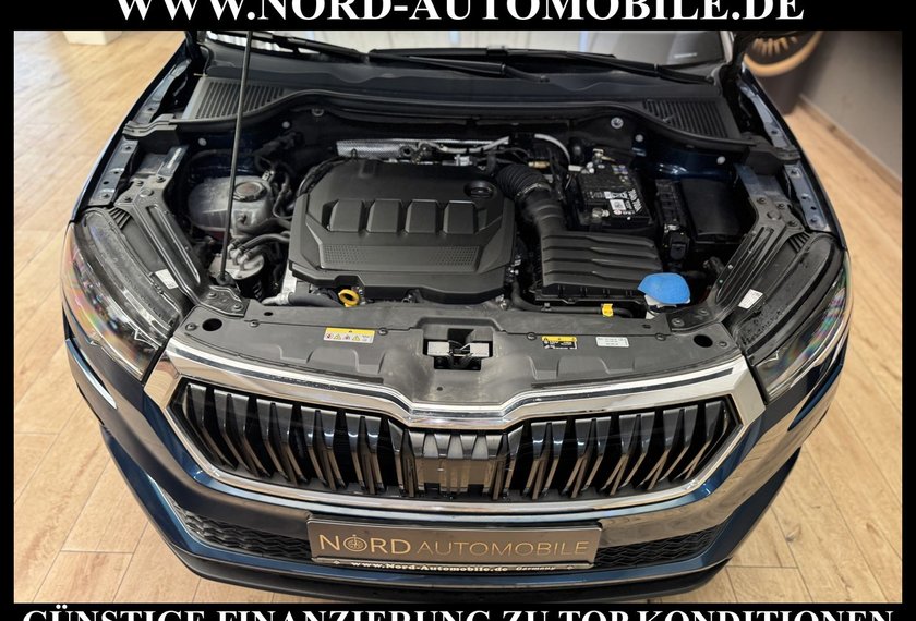 Skoda Karoq Karoq Ambition 2.0 TDI DSG Virt.Cockpit/AHK/Navi